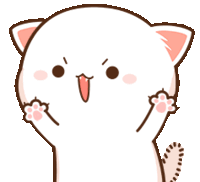 cat gif